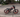 Ebike display showing pedal assist settings for speed adjustment