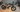 Pedal-assist vs. throttle e-bike comparison